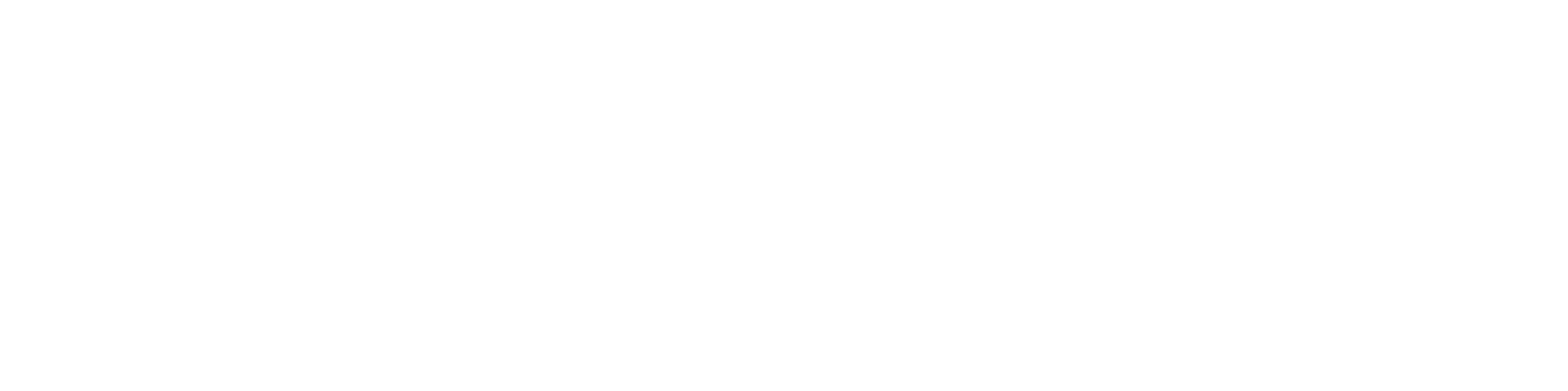 logo fisio